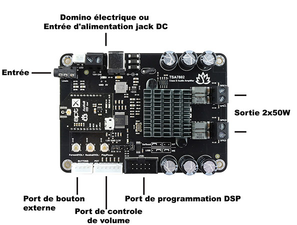 TINYSINE TSA7802B Module Amplificateur TPA3116D2 : schéma explicatif